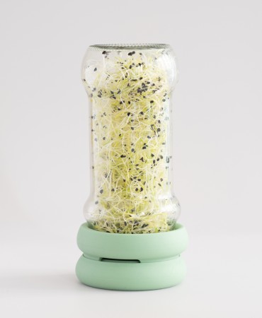 Sprout Huggers® SET Καπάκια σιλικόνης για οικιακή καλλιέργεια λαχανικών